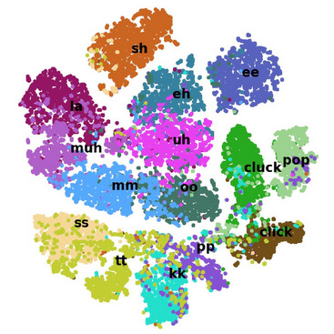 A t-SNE low dimensional cluster visualization of lots of short mouth sounds